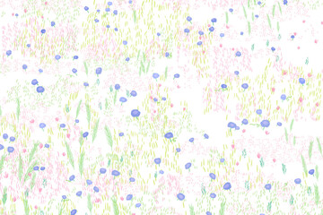 Sketched png summer flower pattern transparent background