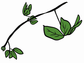 cartoon branches and leaves hand drawing on white background design for fabric print or vintage wallpaper or retro backdrop, hand drawn