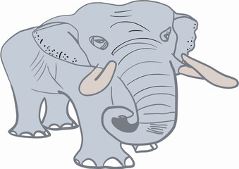 Gray hand drawn Asia elephant, big grand animal