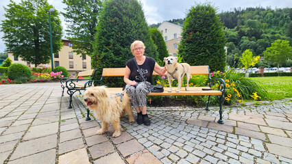 Frau mit Hunden im Park