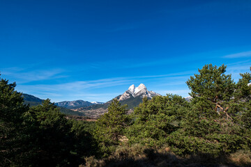 A well-known rocky mountain is seen framed between lush green pine trees, creating a picture-perfect moment of nature's artistry, emphasizing the contrast and complement in Pedraforca in Spain
