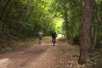 Cyclist on forest path