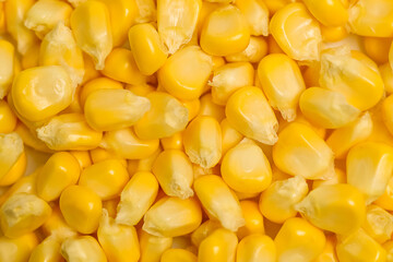 Close-up of yellow sweet corn kernels. Selective focus. Design element for product label, catalog print.