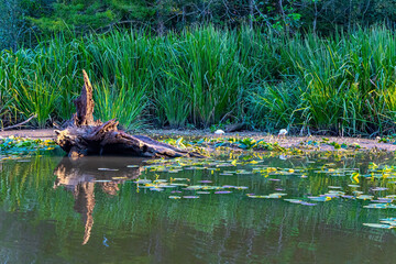 Areas of the Mississippi Basin