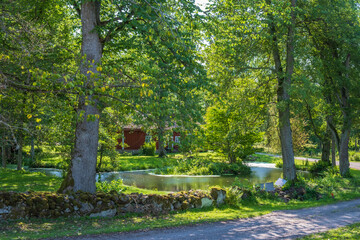 Pond in a lush green tree grove