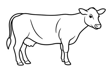 cow line art vector illustration