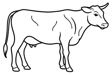 cow line art vector illustration