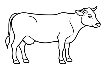 cow line art vector illustration