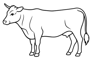 cow line art vector illustration