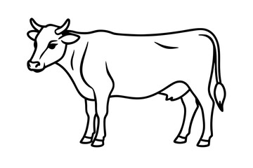 cow line art vector illustration