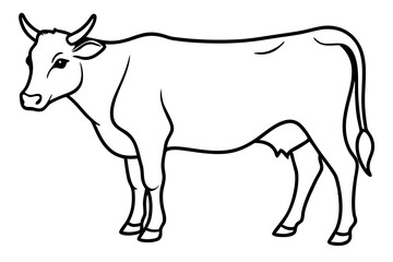 cow line art vector illustration