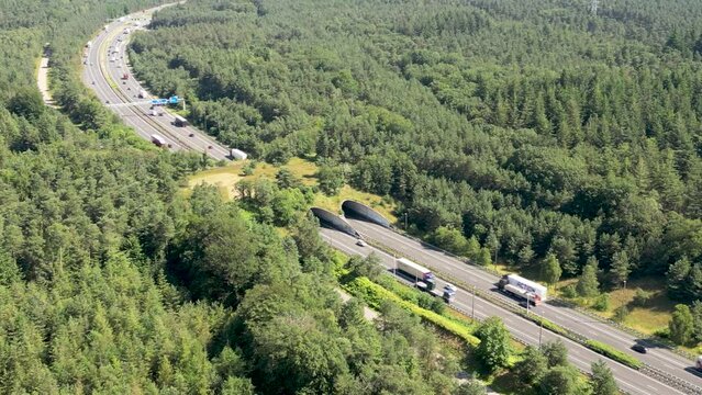 4k drone footage of a wildlife overpass near Woeste Hoeve in Gelderland, Netherlands