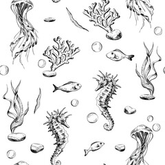 Seahorse and jellyfish with shells, corals, fish, algae and bubbles. Marine illustration of the underwater world hand drawn in black ink graphically. Vector seamless pattern in EPS © NATASHA-CHU