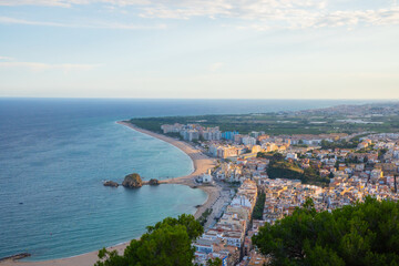 Fototapeta premium Scenic Mediterranean view: palm trees and crystal-clear sea