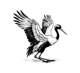 Japanese Crane Bird hand drawn vector illustration