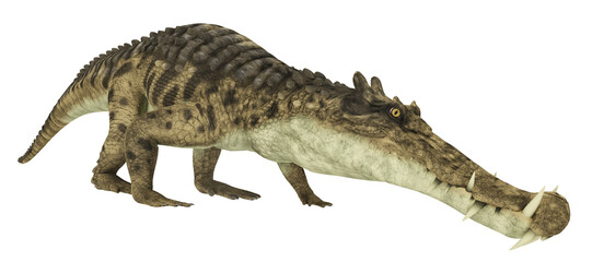 Prähistorisches Krokodil Kaprosuchus, Freisteller