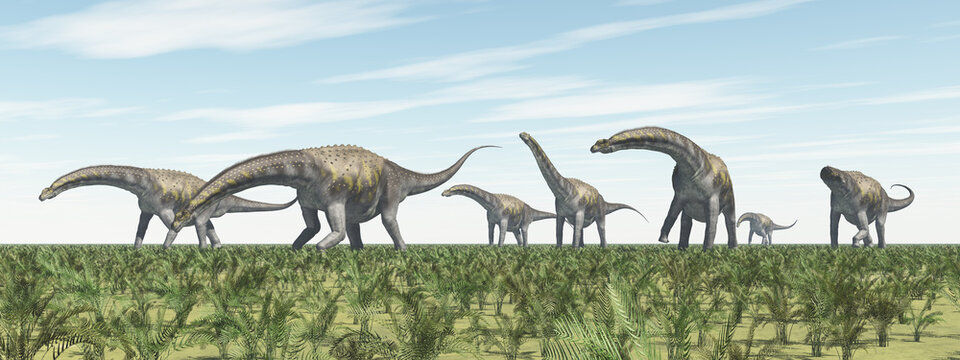 Eine Gruppe von Argentinosaurus Dinosauriern in einer Landschaft