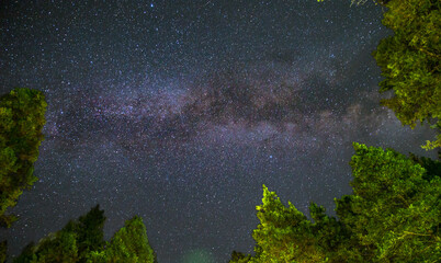 the milk way in the sky and pine forest, background, outdoor vacation,  summer camping activity, stargazing 