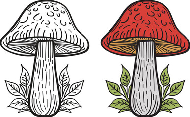 Vector Mushroom Coloring Pages -For Kids