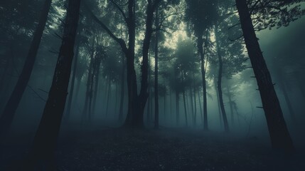 Obraz premium Mysterious Foggy Forest - A misty forest with tall trees silhouetted against a dark and ominous sky. The fog hangs thick and heavy, creating a sense of mystery and intrigue. - A misty forest with tall