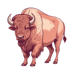 Hand Drawn Bison Illustration