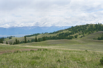 Fototapeta premium Mountains and meadows. Nature of Mountain Altai.