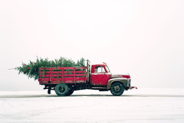 A toy truck carrying a Christmas tree