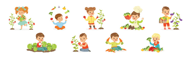 Happy Kid Character Harvesting Ripe Vegetables Vector Set