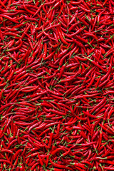Fototapeta premium Background of red hot chili peppers