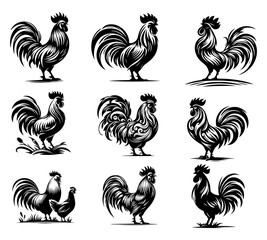 Rooster silhouette vector illustration style with white background