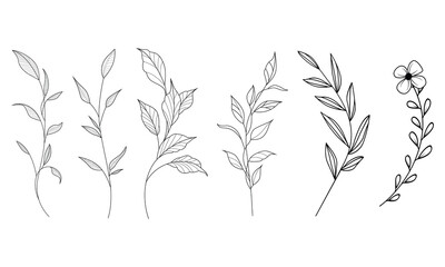 Collection of outline botanical foliage decoration
