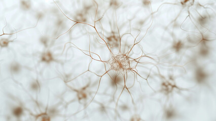 Synaptic Threads: A Micro Fiber Representation of Neuronal Networks