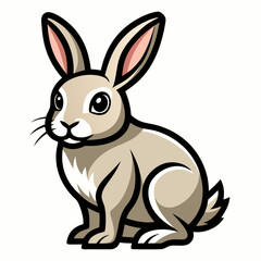 rabbit vector and illustration