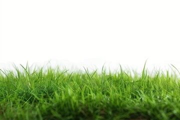 Obraz premium refreshing outdoor view showcasing healthy green grass on a pristine white background