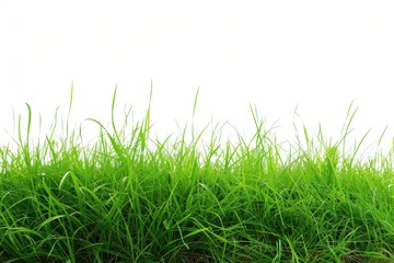 idyllic rural landscape featuring healthy green grass against a clean white background