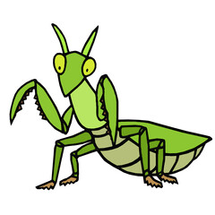 カマキリ　イラスト
