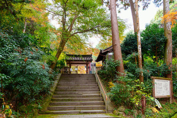 【京都府】木津川市 岩船寺 (2023/11/29 撮影)