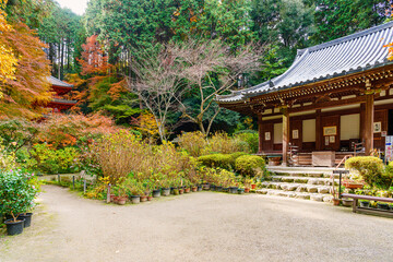 【京都府】木津川市 岩船寺 (2023/11/29 撮影)