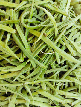 Cluster beans vegetable food heap guar haricot cluster clusterbean, cyamopsis tetragonoloba, frijolracimo, annual legume gavar, gawar, or guvar bean photo 