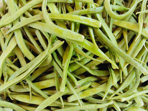 Cluster beans vegetable food heap guar haricot cluster clusterbean, cyamopsis tetragonoloba, frijolracimo, annual legume gavar, gawar, or guvar bean photo 