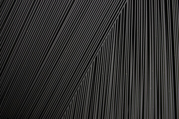 Fototapeta premium Black spaghetti pasta close-up