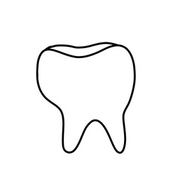Human tooth illustration