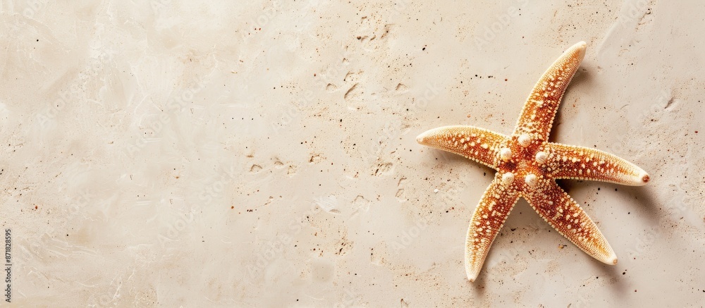 Poster Beach holiday theme captured in a top view flat lay image with a starfish on light sandy texture, emphasizing a summer concept with ample copy space.