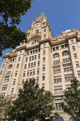 Albert docks and the liver building.