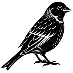 Flat icon of bird black silhouette