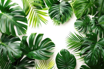 Variety of lush green tropical leaves on a white background.
