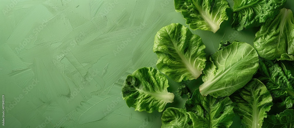 Poster flatlay showcasing a creative design with romaine leaves on a green backdrop, creating a healthy veg