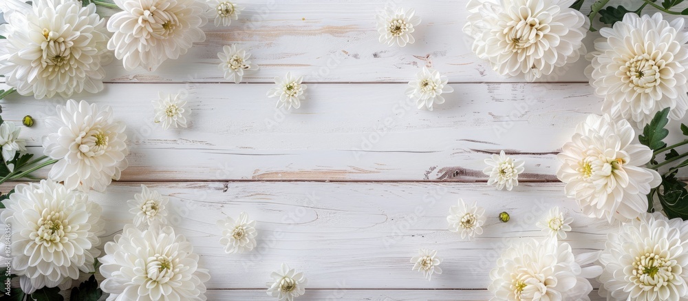 Poster chrysanthemum flowers form an elegant frame on a white wooden backdrop, ideal for a copy space image
