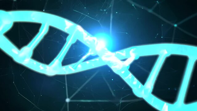 Visualization of a point mutation occurring in a DNA sequence