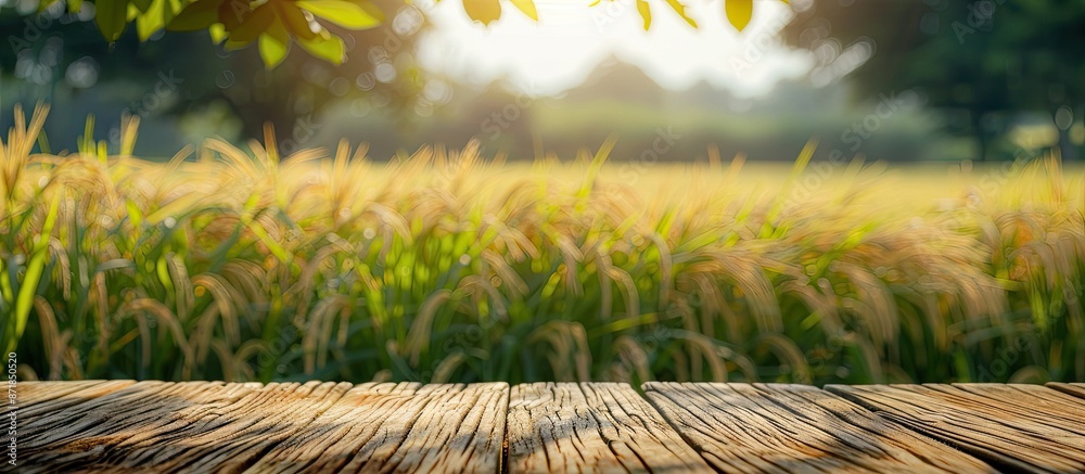 Poster Blurry field or garden background with a wooden table top during the day, showcasing harvested rice or whole wheat for product display or design layouts with a view of copy space image.